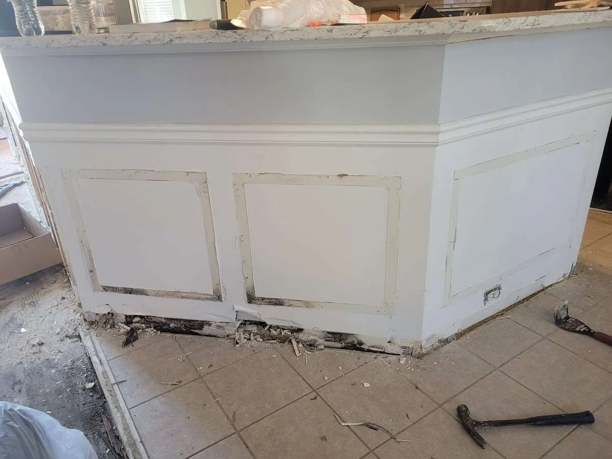 Water damage and mold on kitchen during Mold Inspection & Testing in Venersborg